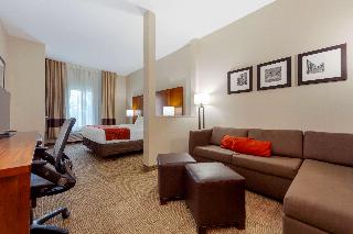 1 King Bed, Suite, Nonsmoking, Accessible