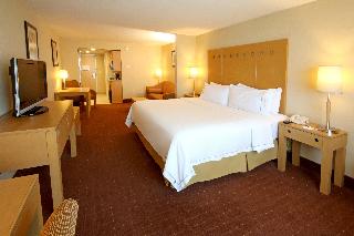 1 Bedroom Suite 1 King