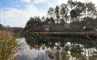 Center Parcs Le Bois aux Daims, Poitiers