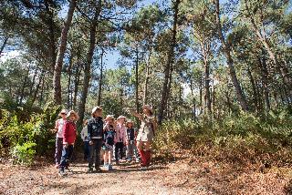 Center Parcs Le Bois aux Daims, Poitiers