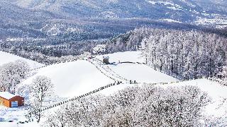 Holiday Inn Resort Alpensia Pyeongchang