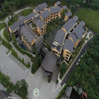 整體概覽