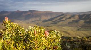 Wildehondekloof Private Game Reserve