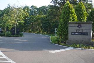 整體概覽