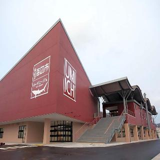 整體概覽