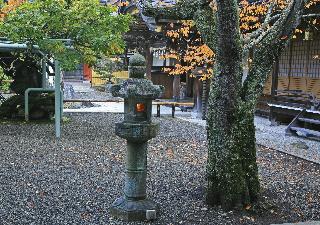 整體概覽