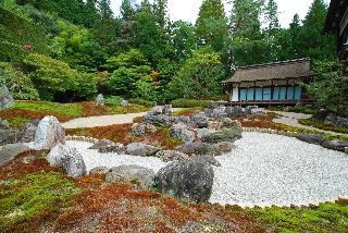 整體概覽