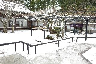 平台