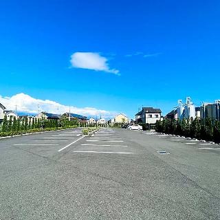 整體概覽