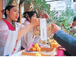 整體概覽