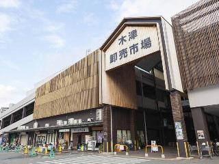 整體概覽