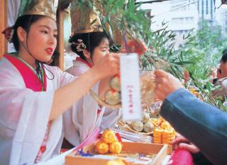 整體概覽