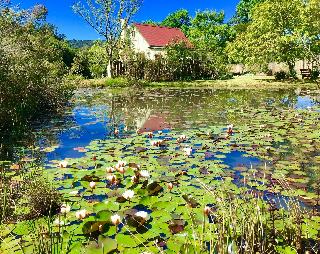 Forest Edge Nature Lovers' Retreat