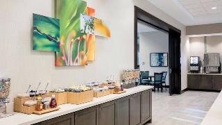 TownePlace Suites Orlando Theme Parks/LBV