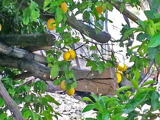 Villa Turquoise, Amalfi Coast