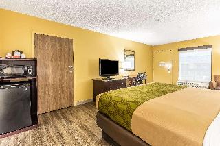 Room Room