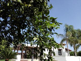 Agriturismo Terra dei Limoni Agriturismo Terra dei Limoni