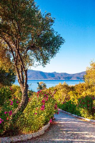Domaine Arcobiato, Corsica