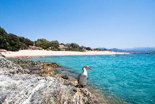 Domaine Arcobiato, Corsica