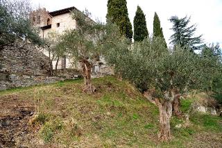 Domus Ecclesiae, Assisi