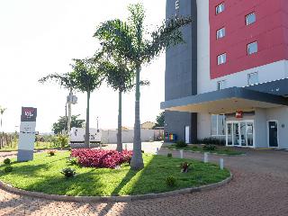 Ibis Tatuí