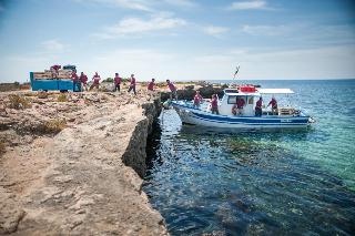 Calamoni Di Favignana Calamoni Di Favignana