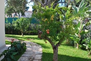 No Tag, Puglia