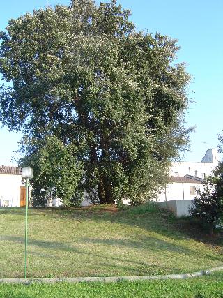 Masseria Fabrizio, Puglia