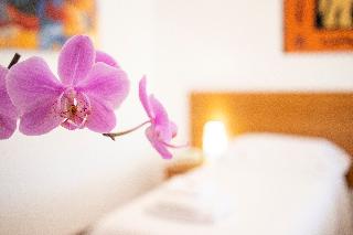Albergo La Pace, Grosseto