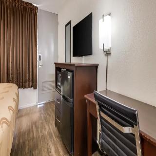 Room Room