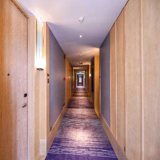 Room Room