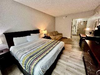 Room Room