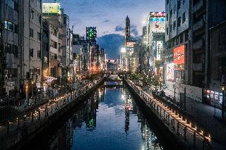 整體概覽
