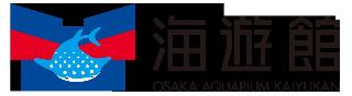 整體概覽