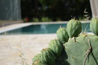 Il giardino di San pietro, Puglia