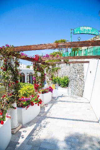 La mandorla, Ischia