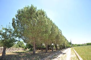 I trulli di Nonna lina, Puglia