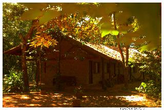 Cantos Da Mata