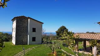 Borgo San Pecoraio, Pisa