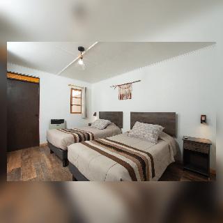 Room Room