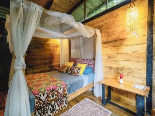 Room Room