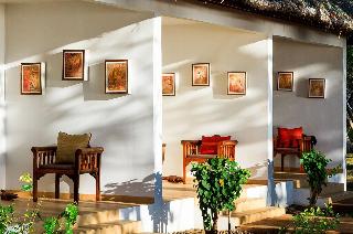 Room Room