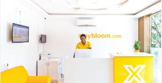 X by bloom, Indiranagar, Bangalore