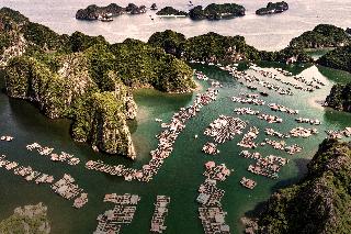 Heritage Line Ylang Cruise-Ha Long Bay and Lan Ha