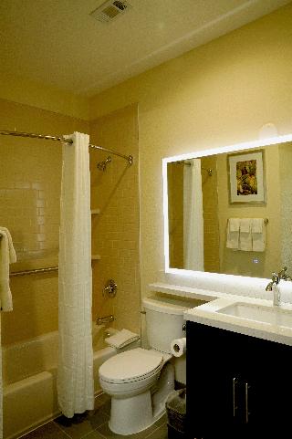 1 Queen Bed Studio Suite