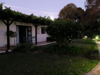 Vine Guesthouse