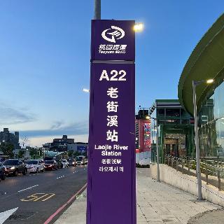 整體概覽