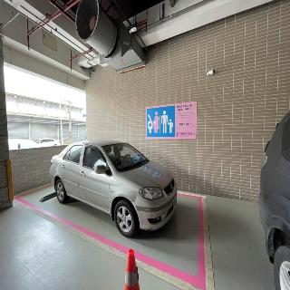 整體概覽
