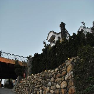 整體概覽