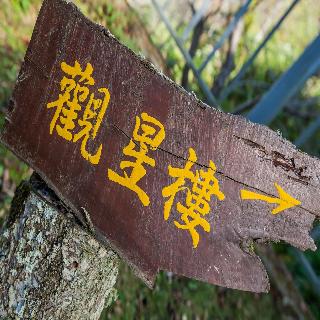 整體概覽